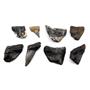 MEGALODON TEETH Lot of 8 Fossils w/8 info cards SHARK #15671 39o