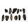 MEGALODON TEETH Lot of 12 Fossils w/12 info cards SHARK #15709 26o