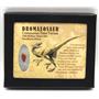 Dromeosaur Raptor Dinosaur Tooth Fossil .580 inch w/ Display Box SDB #15908 11o