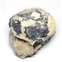 Titanothere Brontothere Vertebra Fossil 50 Million Year Old # 15995 30o