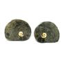 Ammonite Hoploscaphites Split Polished Fossil Montana 100 MYO w/label #16286 22o