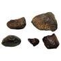 Chondrite MOROCCAN Stony METEORITE Lot of 5 Genuine 65.9 grams w/COA  #16607 4o