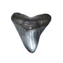 Megalodon Tooth (Replica) Metal Belt Buckle Giant Fossil Shark