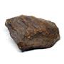 Chondrite Moroccan Stony Meteorite Genuine 238.1 grams 17127