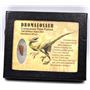 Dromeosaur Raptor Dinosaur Tooth Fossil .766 inch w/ Display Box 17274
