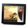 CARCHARODONTOSAURUS Dinosaur Tooth 3.381" Fossil African T-Rex MDB  #17321 13o