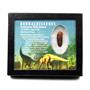 Rebbachisaurus Sauropod Dinosaur Tooth Fossil 1.315w/ Display Box MDB #17344 13o