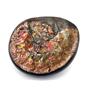 Placenticeras Ammonite Fossil 100 Million Years Old Canada #17524