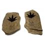 Two Piece Leaf Fossil from Bonanza, Utah #17613