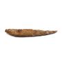 HYBODUS Shark Dorsal Fin Spine Real Fossil 6 inch 18085