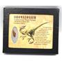 Dromeosaur Raptor Dinosaur Tooth Fossil .698 inch 18132