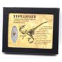 Dromeosaur Raptor Dinosaur Tooth Fossil .469 inch 18136