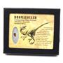 Dromeosaur Raptor Dinosaur Tooth Fossil .370 inch 18141