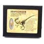 Dromeosaur Raptor Dinosaur Tooth Fossil .869 inch 18145