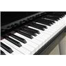 Casio Celviano GP-500BP Hybrid Grand Digital 88 Key Piano #47220
