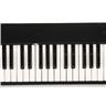 Univox CP 110 Compac Piano Synthesizer Keyboard w/ Original Case #49049