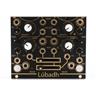 Instruo Lubadh Tape Emulator Looper w/ Expansion Pack Eurorack Module #49420