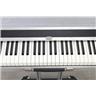 Doepfer LMK1+ 88 Key MIDI Controller Keyboard w/ Power Supply & Cables #49921