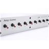 RJM AG-2 Amp Gizmo MIDI Amp Switcher Module #50823