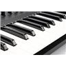 Native Instruments Komplete Kontrol S61 mk2 MIDI Keyboard w/ Extras #53564