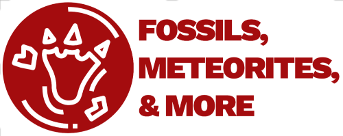 Fossils, Meteorites, & More
